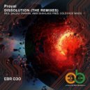 Proyal - Dissolution (Sajjad Zakaria Remix)