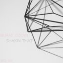 Burak Ozkan - Shakin That (Original Mix)