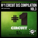 Thomas Solvert, Rob Phillips feat. Ann Shine - This Love Never Ends (Original Mix)