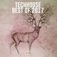 Schuerfes - The Wink