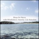 Mindfulness Amenity Life Selection - Asphalt & Sensitivity (Original Mix)