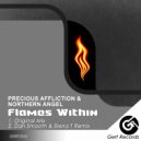 Precious Affliction & Northern Angel - Flames Within (Dan Smooth & Elena T Remix)