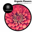 Spiritual Halo - Love And Compassion (Original Mix)