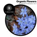 Serenity Calls - Cure Of Muscles