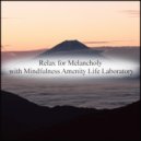 Mindfulness Amenity Life Laboratory - Table & Insomnia (Original Mix)
