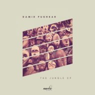 Damir Pushkar - Pina Colada