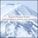Mindfulness Amenity Life Laboratory - Shell & Frustration (Original Mix)