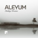 Aleyum - Rushing West (Original Mix)