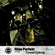 Ride Perfekt - Lap Dance