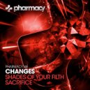 Changes - Sacrifice (Original Mix)