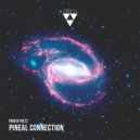 Paulo Foltz - Pulsar