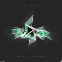 Metrocat - Moments of Clarity (Duellist Remix)