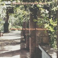 Upbeat Instrumental Music - Refined Mood for Boutique Hotels