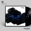 VinS - Broken
