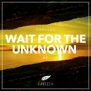 Caellus - Walking Into The Unknown