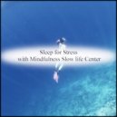 Mindfulness Slow life Center - Simms & Safety (Original Mix)