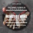 Ricardo Piedra - Wings Of Wind (Erich Von Kollar Remix)
