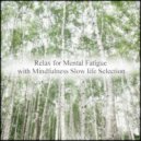Mindfulness Slow Life Selection - Autumn Leaves & Coping Skills (Original Mix)