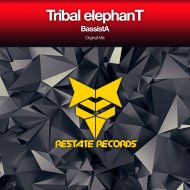Tribal Elephant - Bassista
