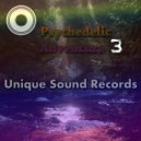 Platinum Butterfly - Fool (Original Mix)