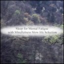 Mindfulness Slow Life Selection - Well & Healing (Original Mix)