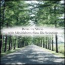 Mindfulness Slow Life Selection - Mucha & Life (Original Mix)