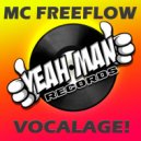 MC Freeflow - The Night Feels Right (Original Mix)