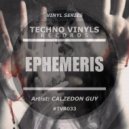 Calzedon Guy - Feel The Rhythm (Original Mix)