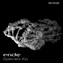 Ende - Symmetrical Structure (Original Mix)