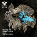 Stefano Pini - Root