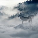RobRibbelink - Canis Lupus Albus (Original Mix)