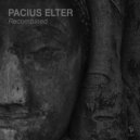 Pacius Elter - Moral Standards of Human Behaviors (Original Mix)