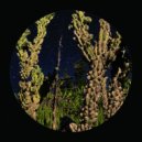 Owen Jay featuring Joe Debono - Piano Bar (Original Mix)