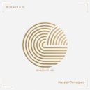Binarium - Terraqueo (Original Mix)