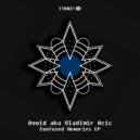 Avoid aka Vladimir Acic - Confused Memories