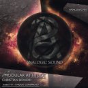 Christian Bonori - Modular Attitude