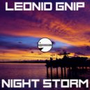 Leonid Gnip - Night Storm (Original Mix)