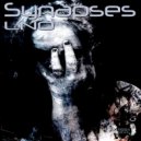 LNO - Synapses