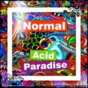 Normal - Acid Paradise (Original Mix)