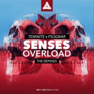 Teminite, PsoGnar - Senses Overload