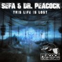 Sefa - Sick Seranade (Original Mix)