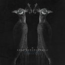 Omar Serarcangeli - The Desired Channeling