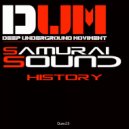 Samurai Sound - Orbit