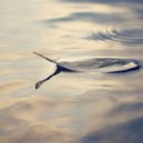 Overcast Sound - Snow Melt (Reprise)
