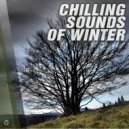 Beta Function - Cherry Picking (Original Mix)