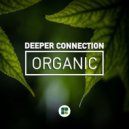 Deeper Connection - Organic
