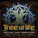 Morten Granau vs Phaxe - The Collective (Original Mix)