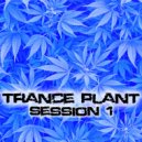 City Experience - Into The Center (Original Mix)