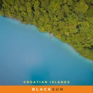 Blacksun - Without You