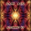 Dark Acid - Mushroom Construction (Original Mix)